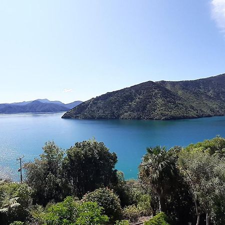 A Sea View B&B Picton Εξωτερικό φωτογραφία