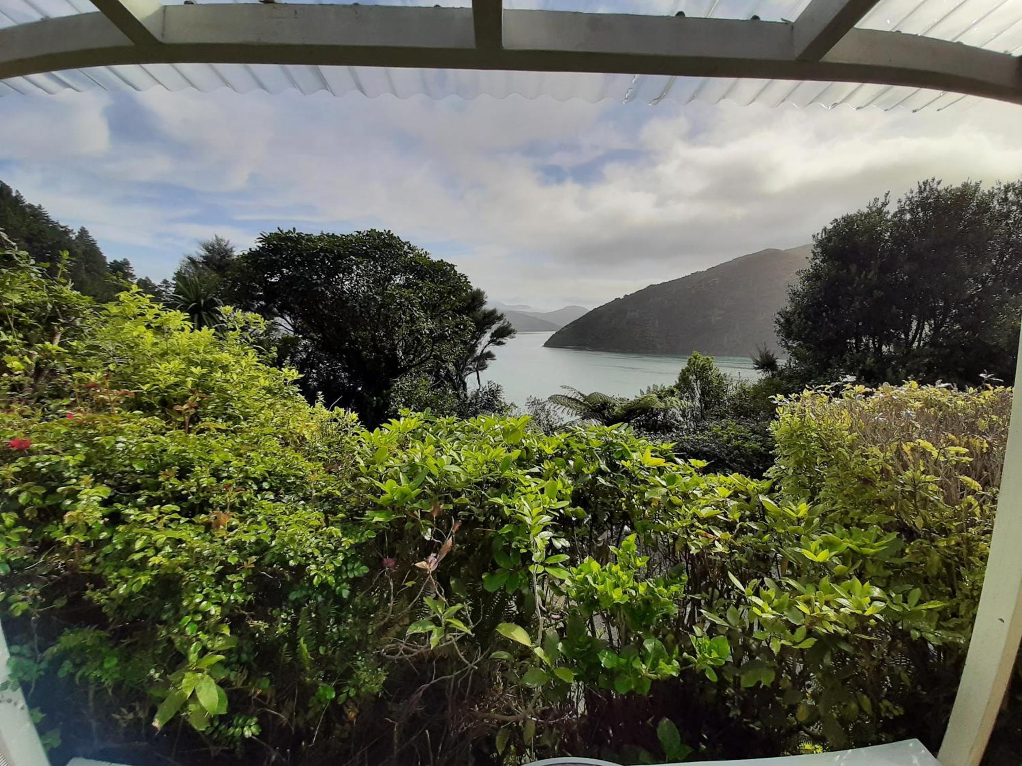 A Sea View B&B Picton Εξωτερικό φωτογραφία