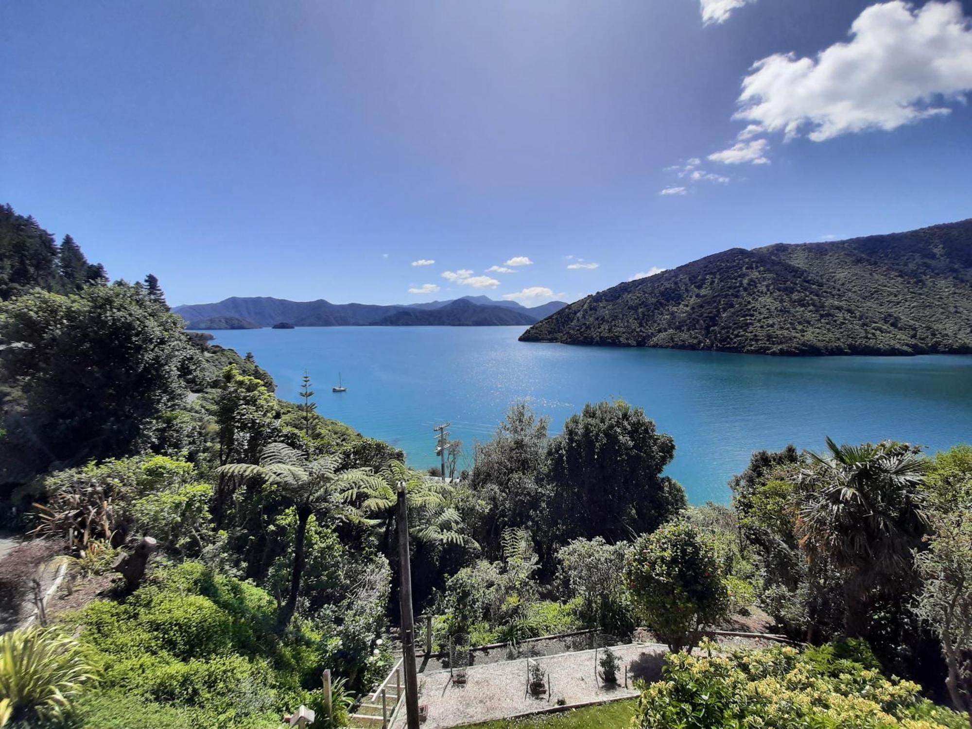 A Sea View B&B Picton Εξωτερικό φωτογραφία