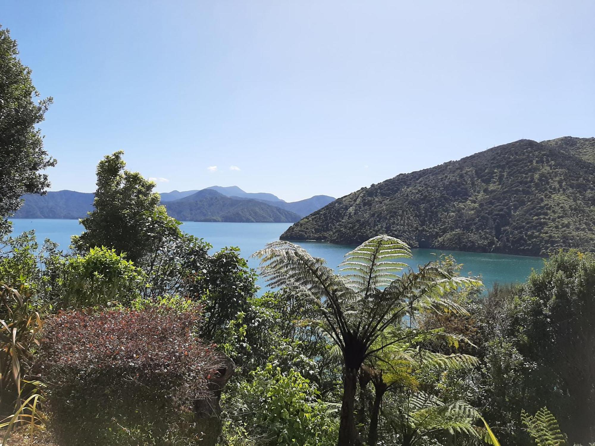 A Sea View B&B Picton Εξωτερικό φωτογραφία