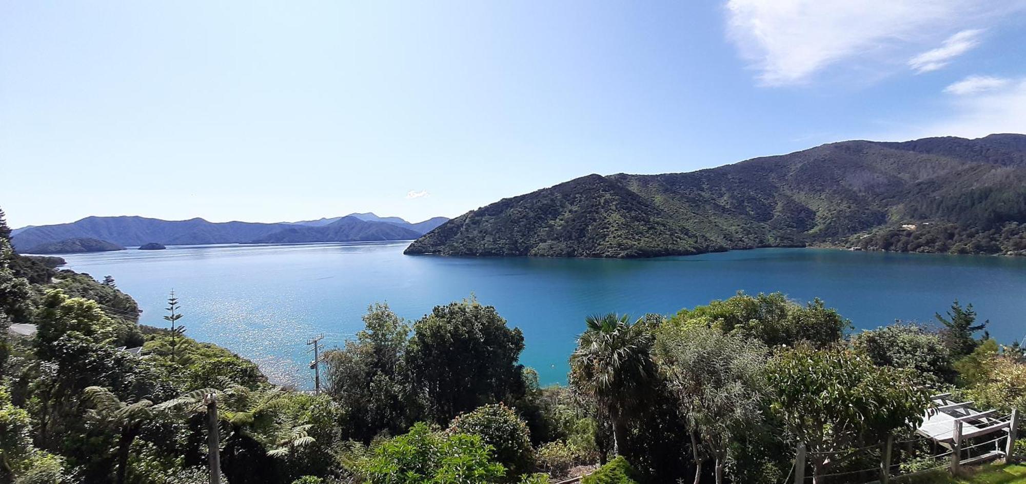 A Sea View B&B Picton Εξωτερικό φωτογραφία