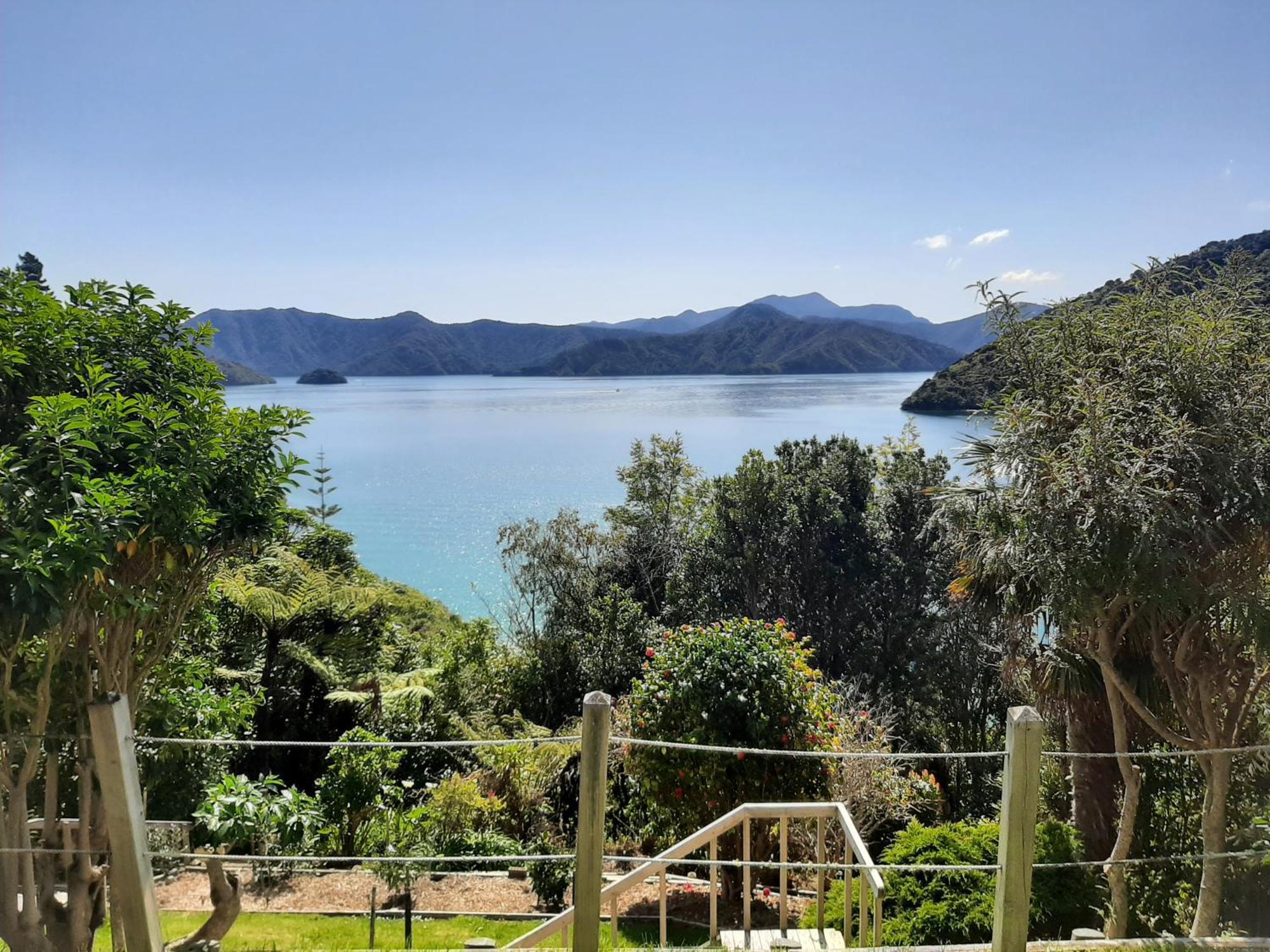 A Sea View B&B Picton Εξωτερικό φωτογραφία