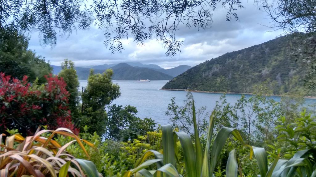 A Sea View B&B Picton Δωμάτιο φωτογραφία